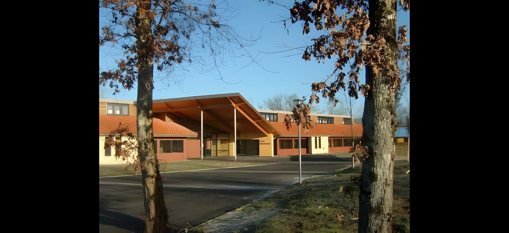 Vue 8