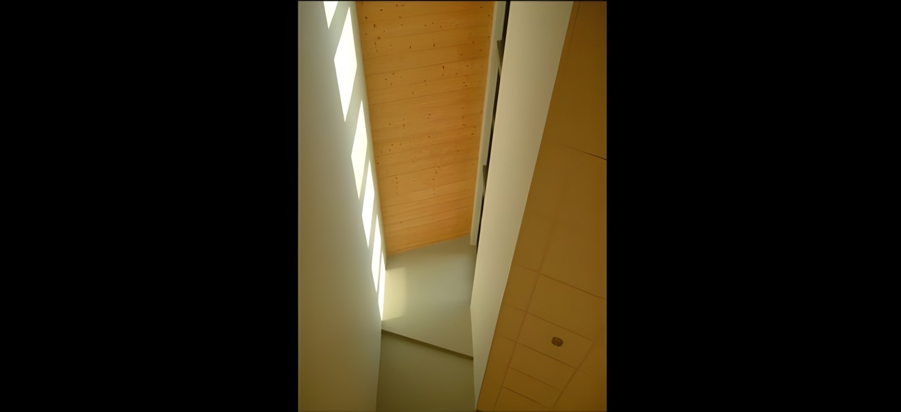 Vue 11