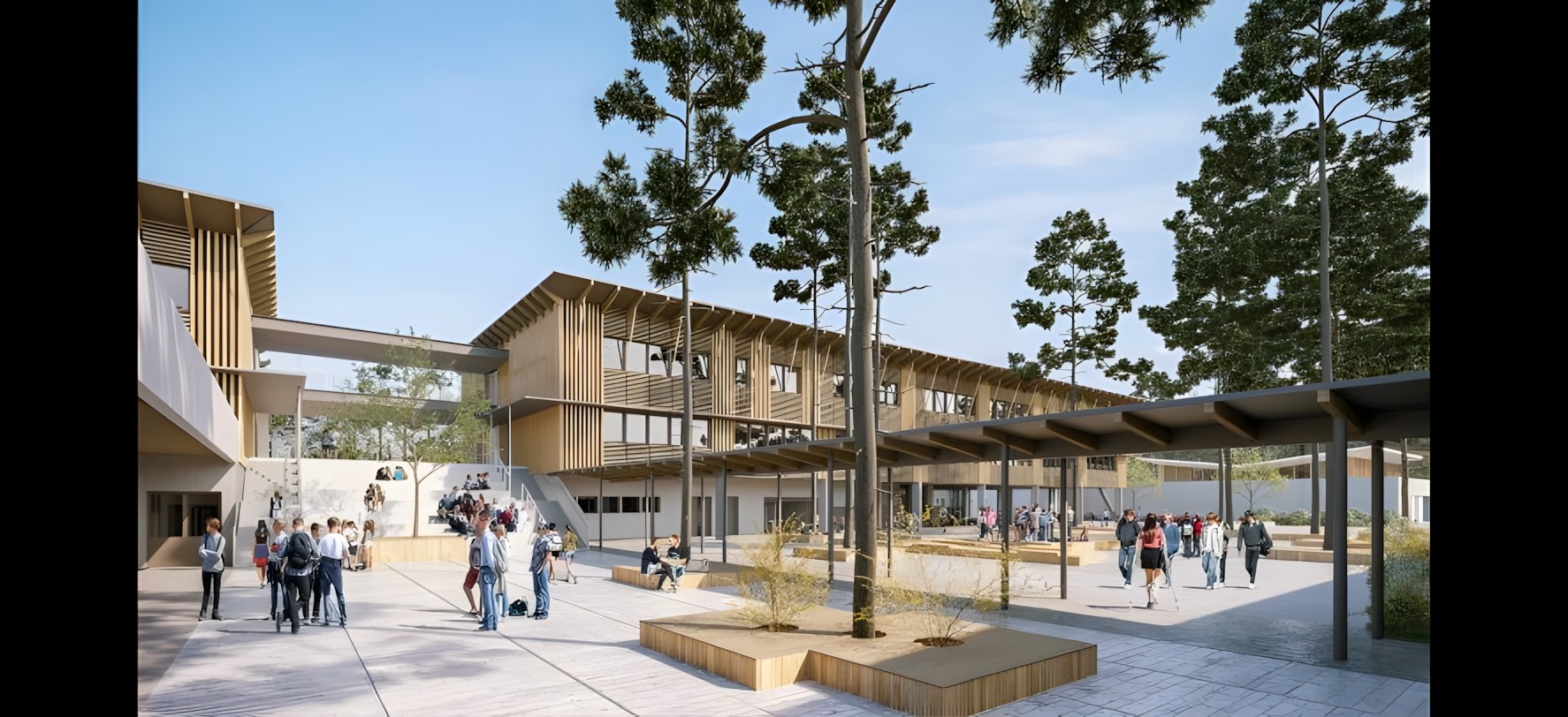 Vue 6