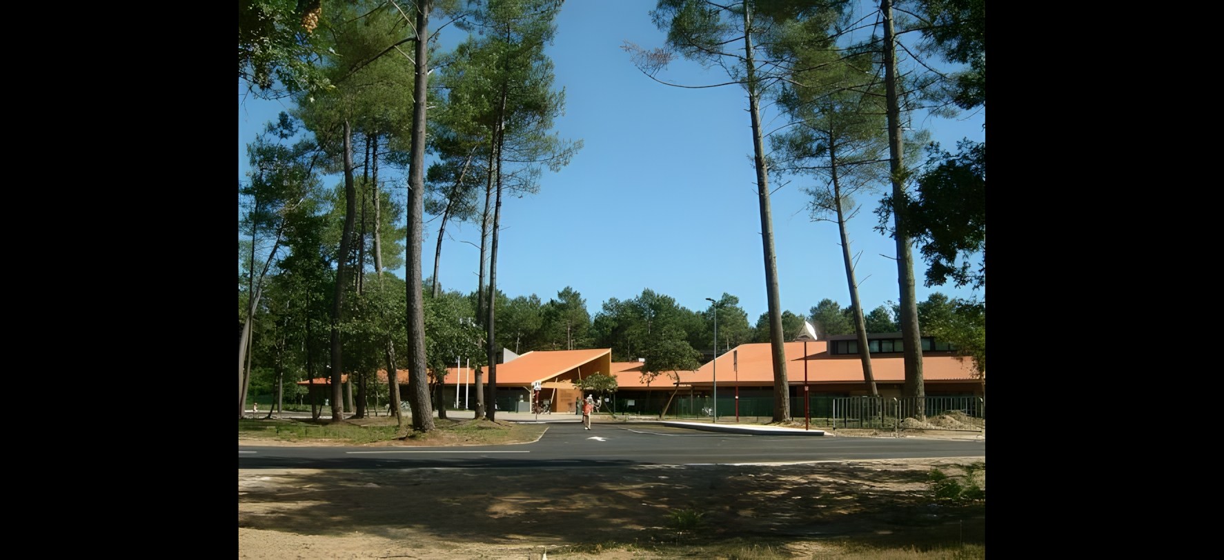 Vue 5