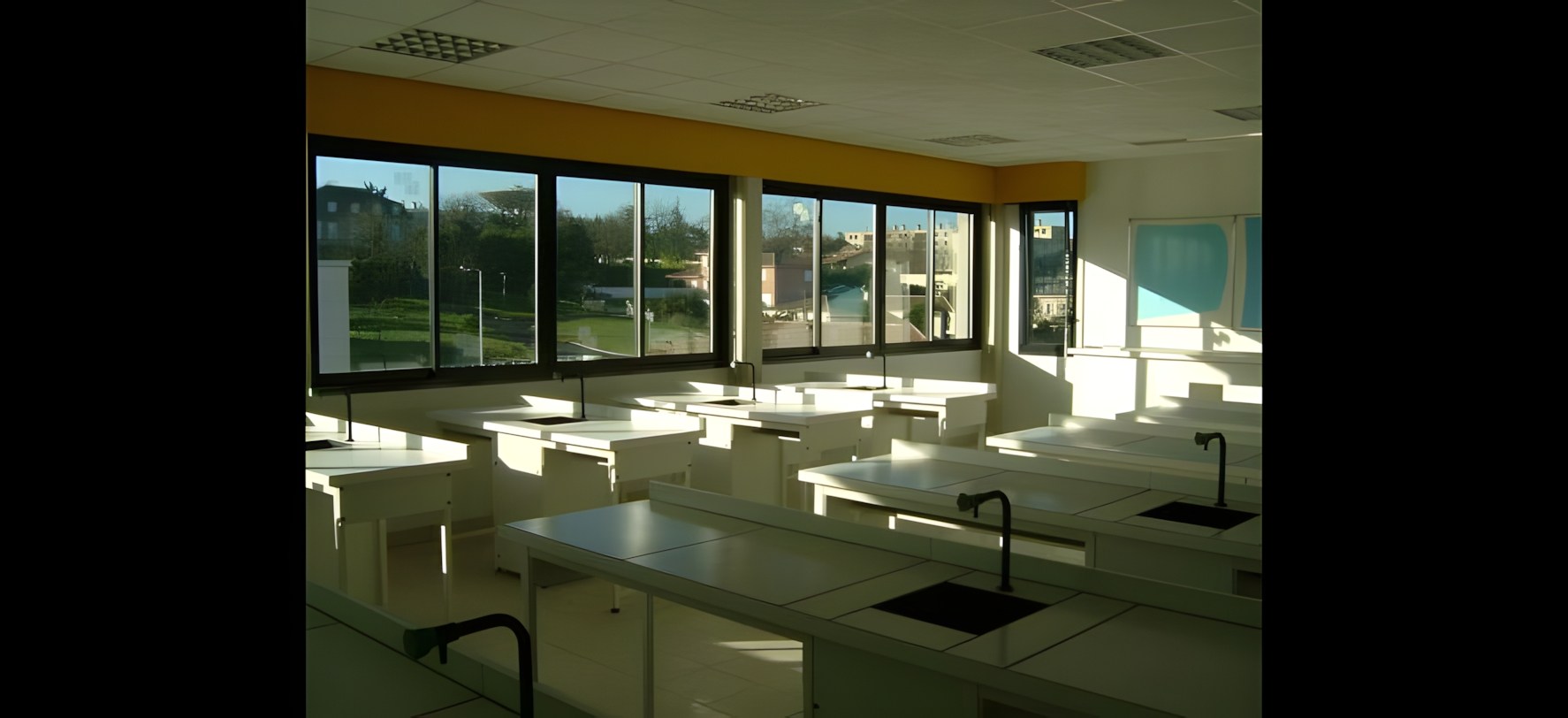 Vue 15