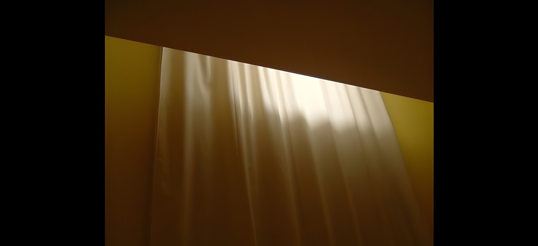 Vue 8