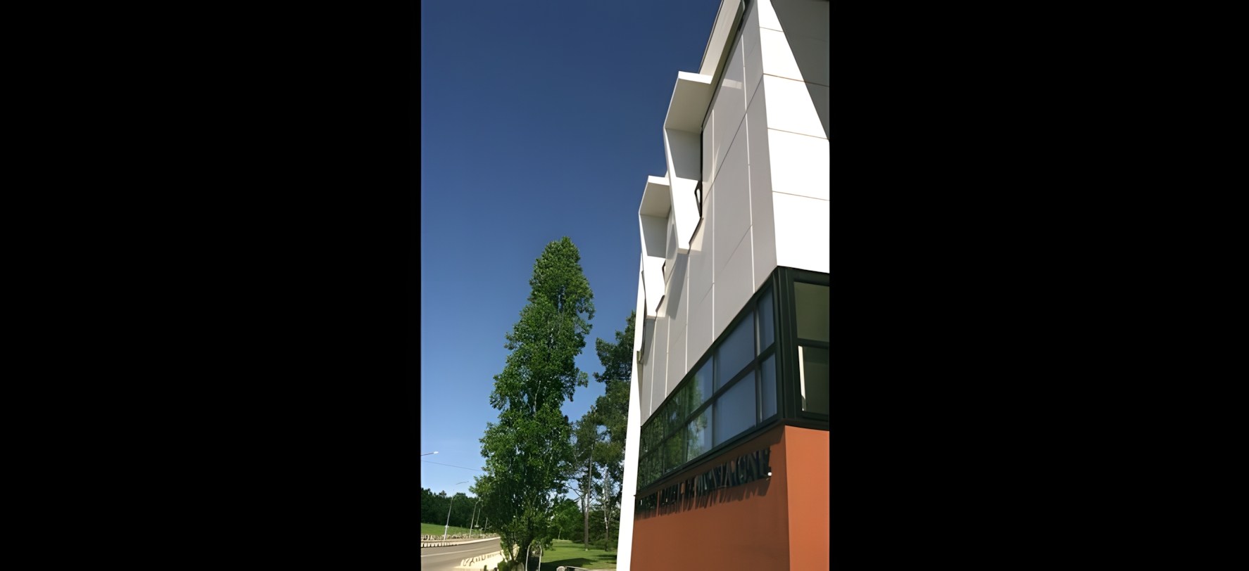 Vue 5