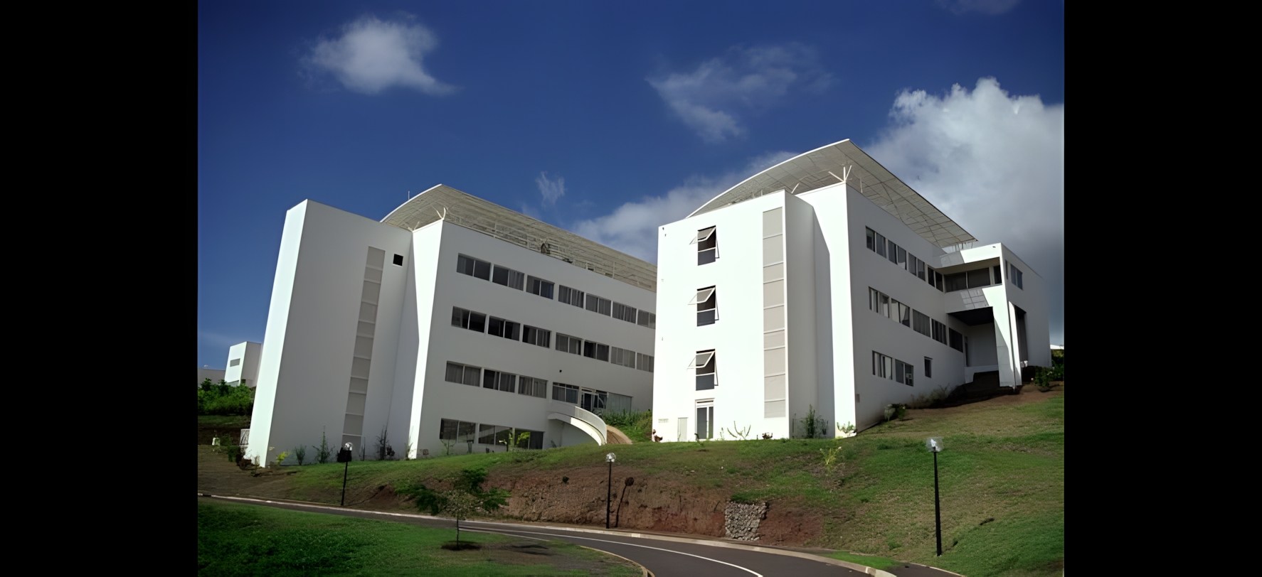 Vue 10