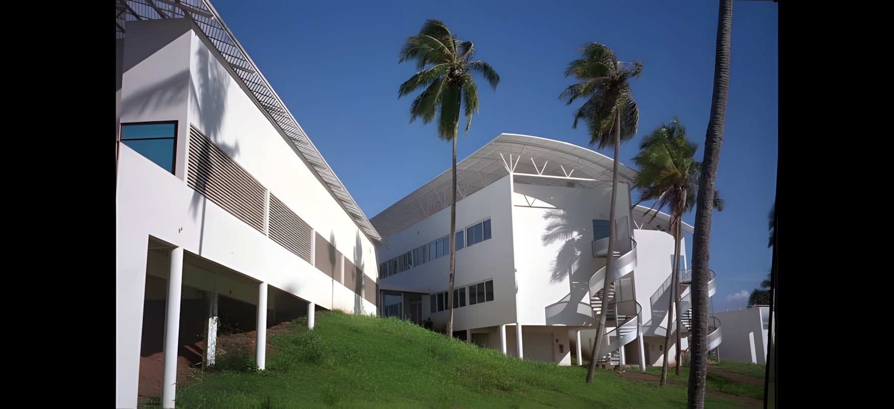 Vue 11