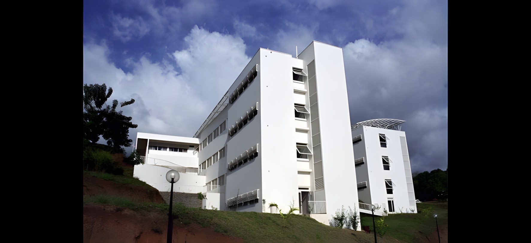 Vue 12