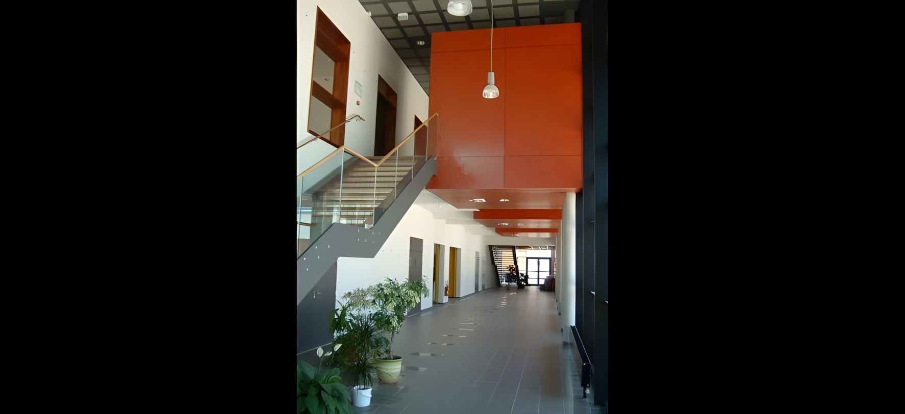 Vue 10