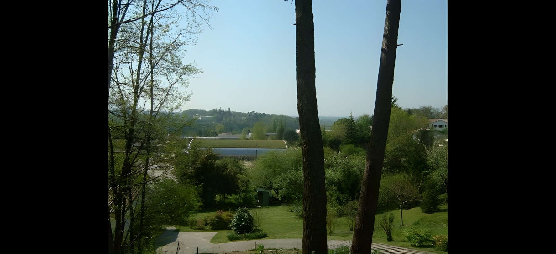 Vue 7