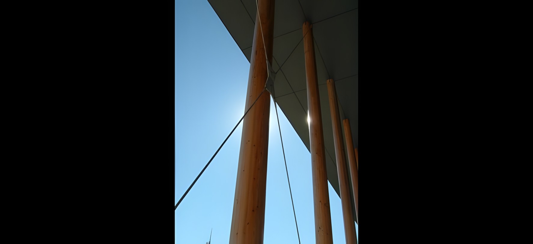 Vue 11