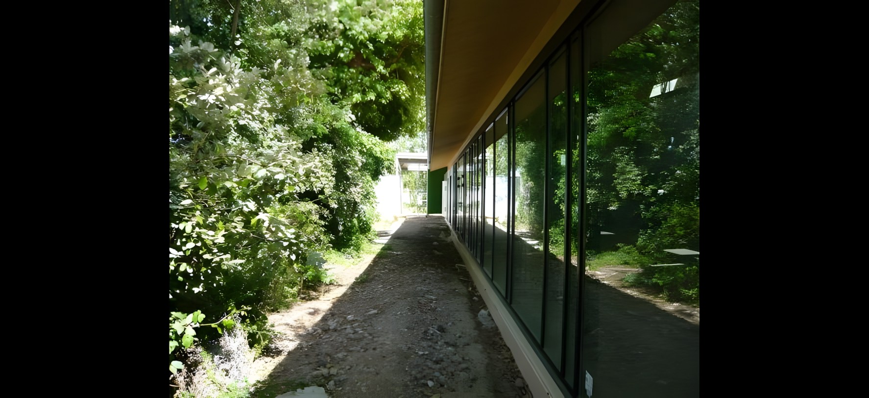 Vue 3